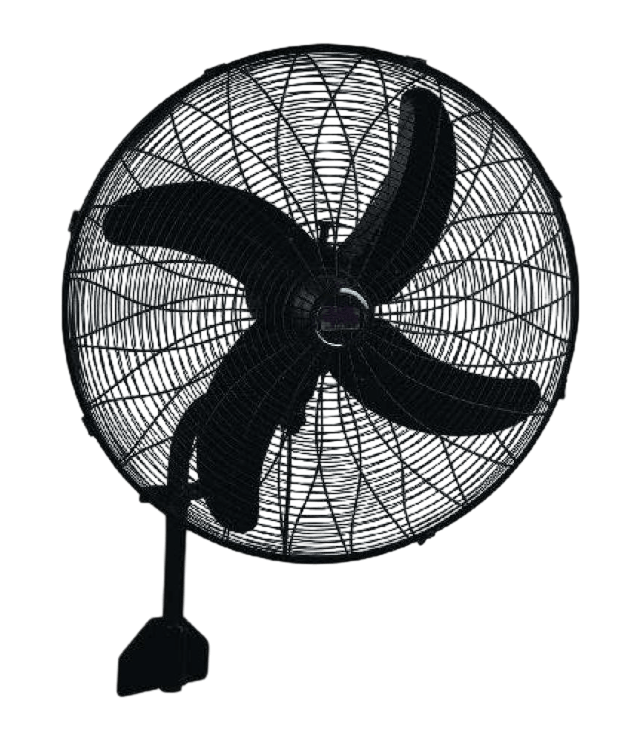 Bracket Fan