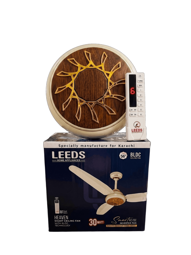 Leeds Fan